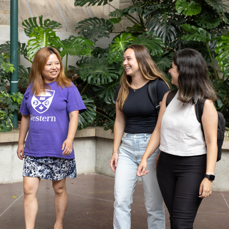 Three students walk together.